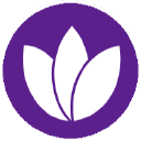 Webhost 365