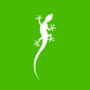 Weblizards
