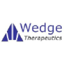 wedgetherapeutics.com