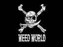 Read WW Reviews