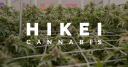 HiKei Cannabis Dispensary Grossmont Logo