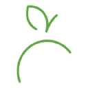 wellness concepts inc