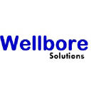 wellboresolutions.com