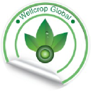 wellcropglobal.com