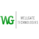 wellgatetech.com