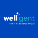 welligent.com