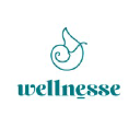 wellnesse.com