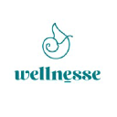 Logo for wellnesse.com