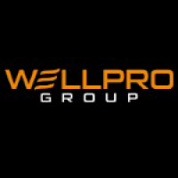 Wellpro Group Limited