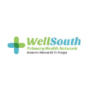 wellsouth.org.nz