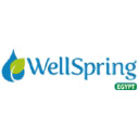 wellspringegypt.com