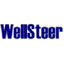 wellsteer.com