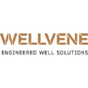 wellvene.com