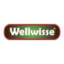 wellwisse.com