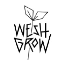 Wesh Grow Avatar