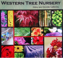 Western Tree Nursery