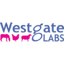 westgatelabs.co.uk