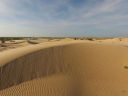 West Texas Sand