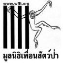 wfft.org