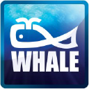 whaleenterprise.in