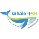 whalefish.org