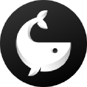 whalereports.com