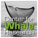 whaleresearch.com