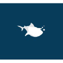 Whale Shark Studio