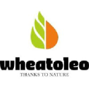 wheatoleo.com