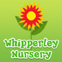 whipperleynursery.co.uk