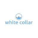 whitecollarindia.com