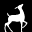 White Deer Publishing