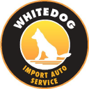 whitedogauto.com