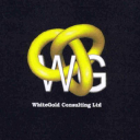 whitegold-consulting.com