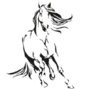 White Horse Security