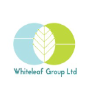 White Leaf Group Limited