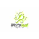 whiteleafenergysystems.com