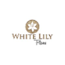 White Lily FIlms