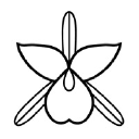 whiteorchidinteriors.com