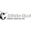 whiteowl-services.com