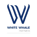 whitewhale.in