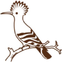 Wiedehopf logo
