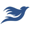 wildbirdmedia.com