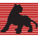 Wildcat Computing