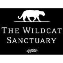 wildcatsanctuary.org