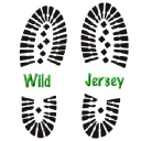 wildjersey.com