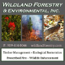 wildland forestry and environmental