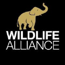 wildlifealliance.org