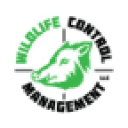 wildlifecontrolmanagement.com