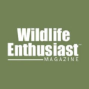 Wildlife Enthusiast Magazine
